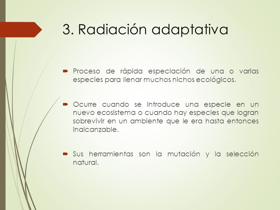3. Radiación adaptativa Proceso de rápida especiación de una o varias especies para llenar muchos nichos ecológicos.
