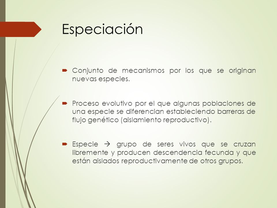 Especiación Conjunto de mecanismos por los que se originan nuevas especies.