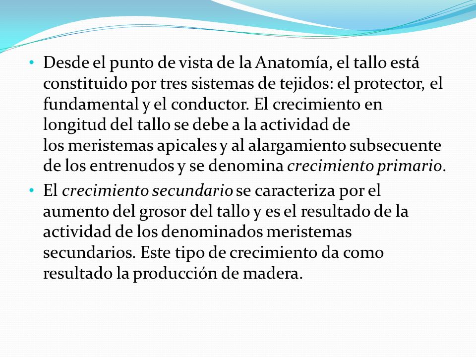 Desde el punto de vista de la Anatomía, el tallo está constituido por tres sistemas de tejidos: el protector, el fundamental y el conductor. El crecimiento en longitud del tallo se debe a la actividad de los meristemas apicales y al alargamiento subsecuente de los entrenudos y se denomina crecimiento primario.