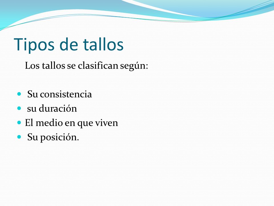 Tipos de tallos Los tallos se clasifican según: Su consistencia