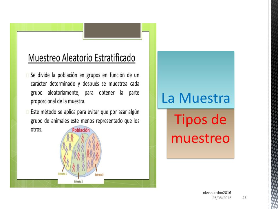 La Muestra Tipos de muestreo nievesinvinn /04/2017