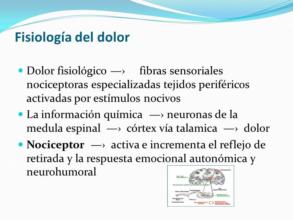 Fisiología del dolor Dolor fisiológico —› fibras sensoriales nociceptoras especializadas tejidos periféricos activadas por estímulos nocivos.