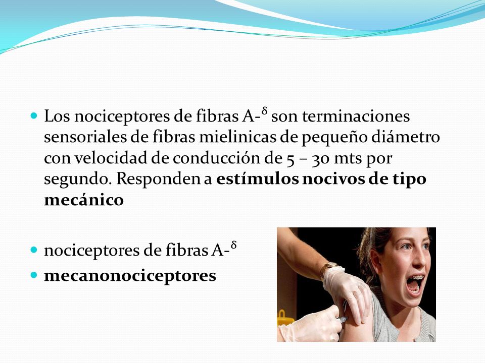 Los nociceptores de fibras A-ᵟ son terminaciones sensoriales de fibras mielinicas de pequeño diámetro con velocidad de conducción de 5 – 30 mts por segundo. Responden a estímulos nocivos de tipo mecánico