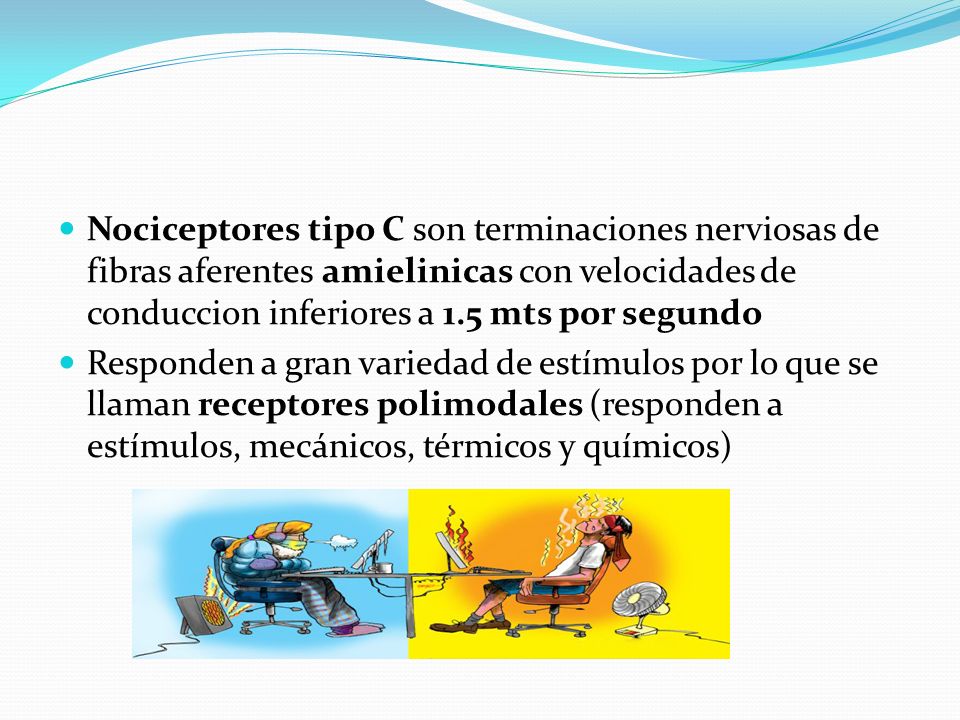 Nociceptores tipo C son terminaciones nerviosas de fibras aferentes amielinicas con velocidades de conduccion inferiores a 1.5 mts por segundo