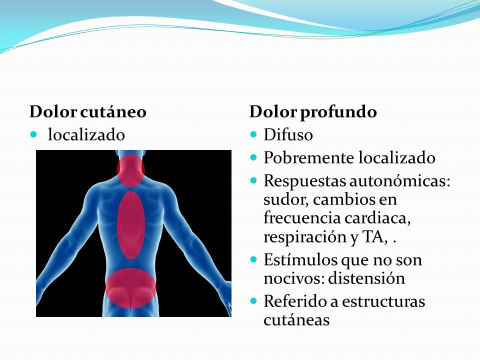 Dolor cutáneo localizado. Dolor profundo. Difuso. Pobremente localizado.
