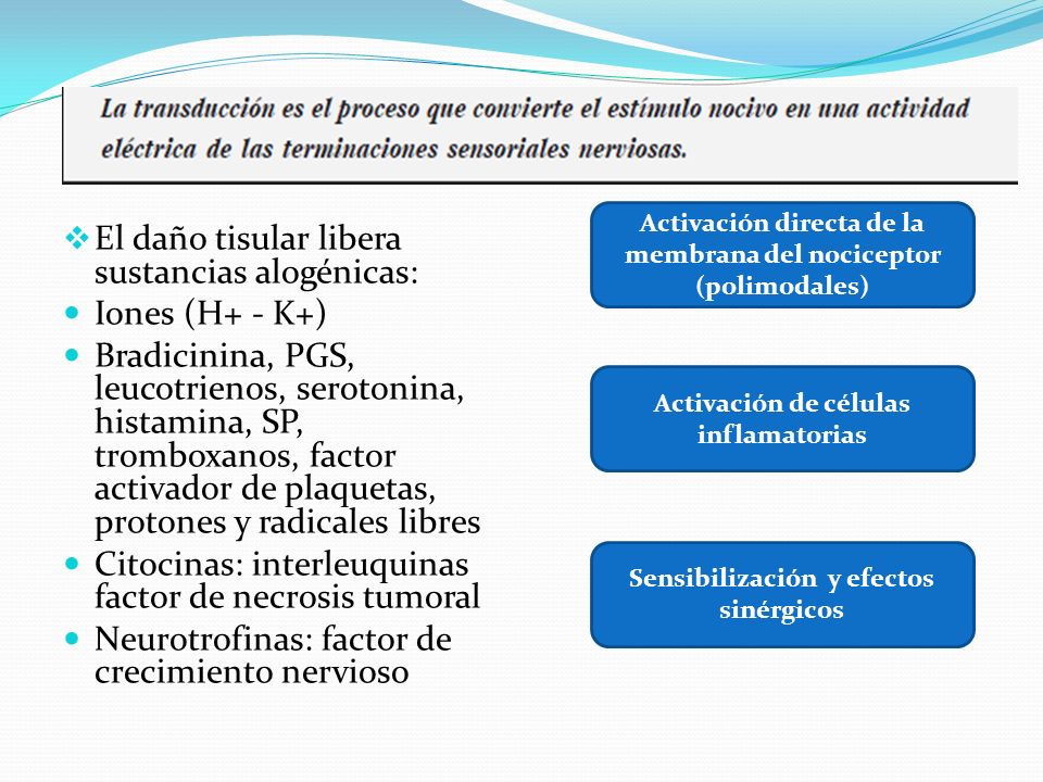 El daño tisular libera sustancias alogénicas: Iones (H+ - K+)