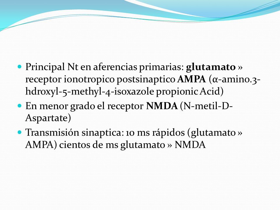 Principal Nt en aferencias primarias: glutamato » receptor ionotropico postsinaptico AMPA (α-amino.3-hdroxyl-5-methyl-4-isoxazole propionic Acid)