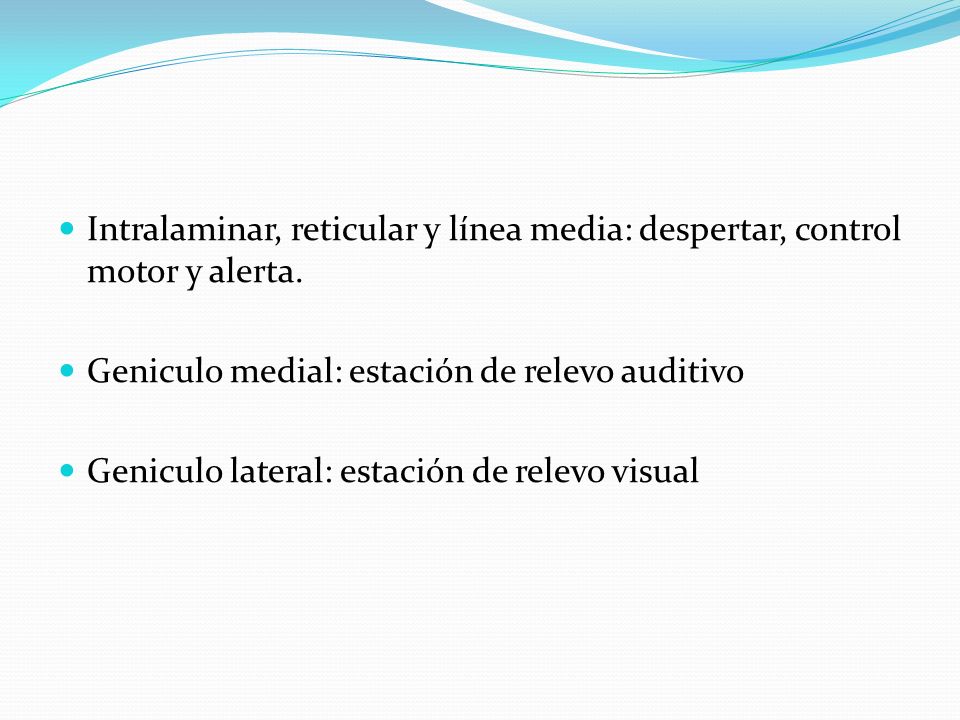 Intralaminar, reticular y línea media: despertar, control motor y alerta.