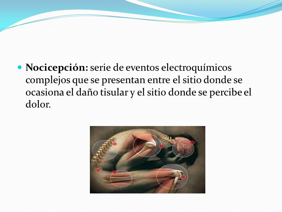Nocicepción: serie de eventos electroquímicos complejos que se presentan entre el sitio donde se ocasiona el daño tisular y el sitio donde se percibe el dolor.