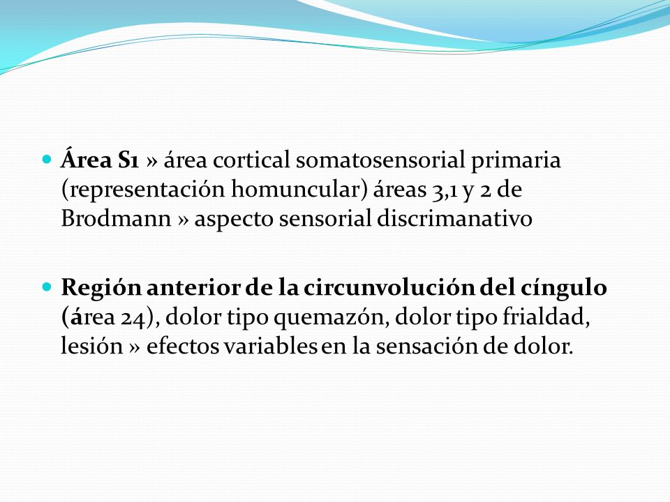 Área S1 » área cortical somatosensorial primaria (representación homuncular) áreas 3,1 y 2 de Brodmann » aspecto sensorial discrimanativo