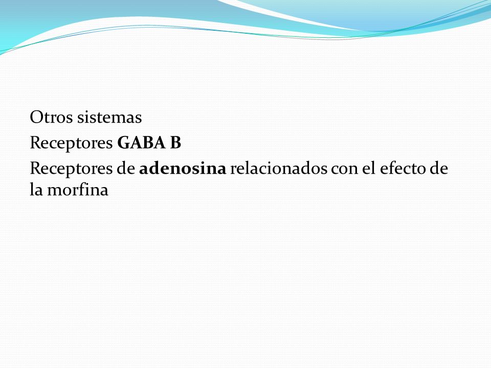 Otros sistemas Receptores GABA B Receptores de adenosina relacionados con el efecto de la morfina