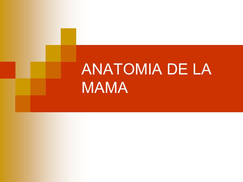 Anatomia de la mama ppt descargar