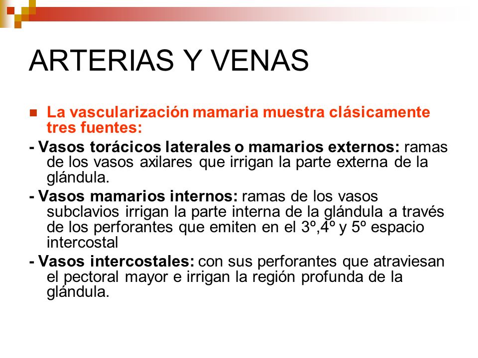 ARTERIAS Y VENAS La vascularización mamaria muestra clásicamente tres fuentes:
