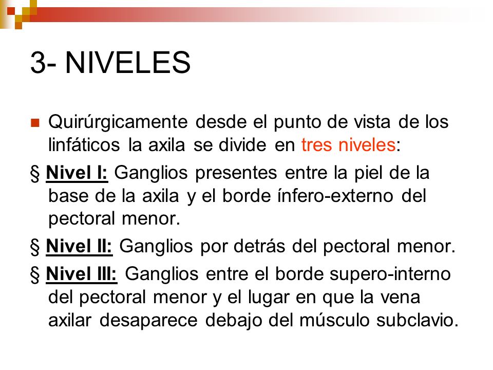 3- NIVELES Quirúrgicamente desde el punto de vista de los linfáticos la axila se divide en tres niveles: