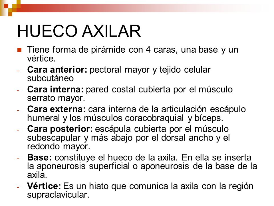 HUECO AXILAR Tiene forma de pirámide con 4 caras, una base y un vértice. Cara anterior: pectoral mayor y tejido celular subcutáneo.