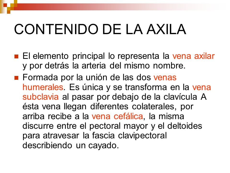 CONTENIDO DE LA AXILA El elemento principal lo representa la vena axilar y por detrás la arteria del mismo nombre.