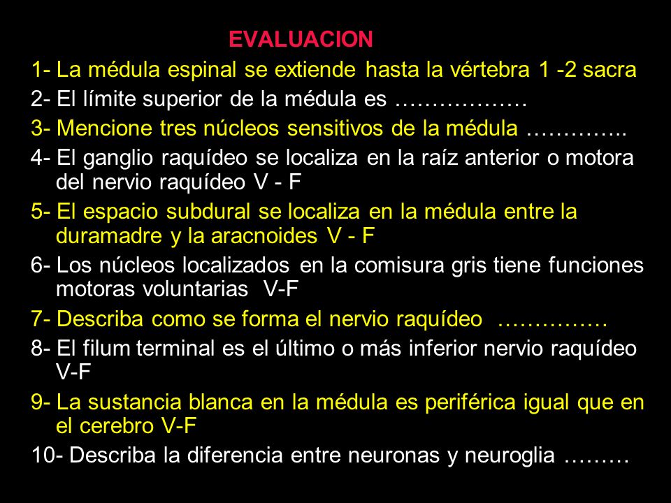 EVALUACION 1 1- La médula espinal se extiende hasta la vértebra 1 -2 sacra. 2- El límite superior de la médula es ………………