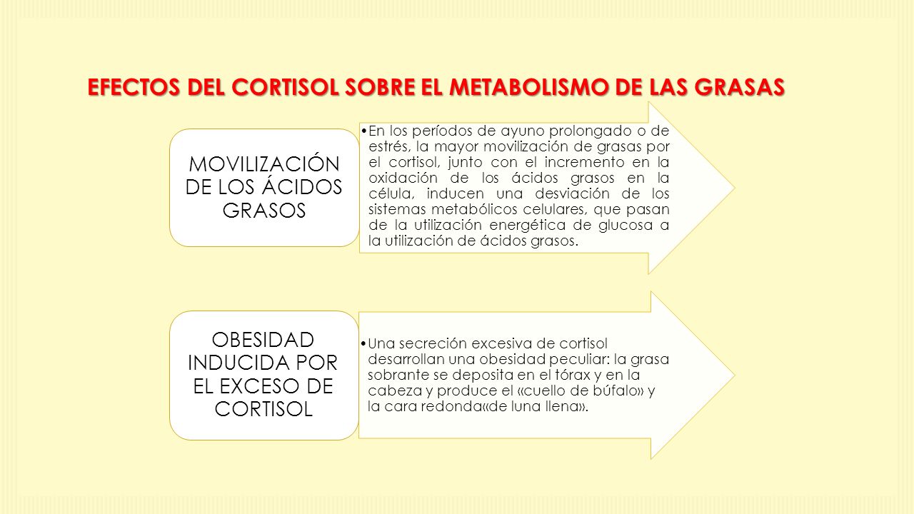 EFECTOS DEL CORTISOL SOBRE EL METABOLISMO DE LAS GRASAS