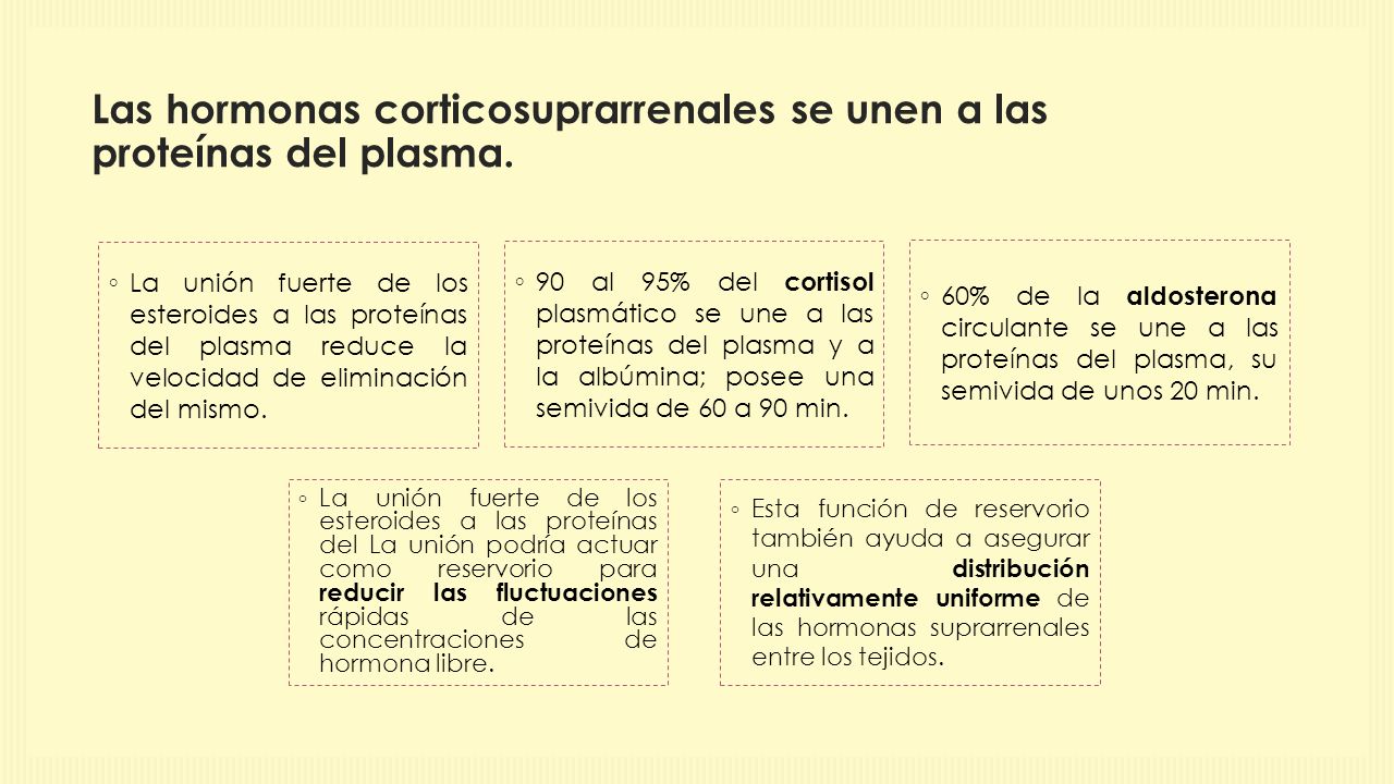 Las hormonas corticosuprarrenales se unen a las proteínas del plasma.