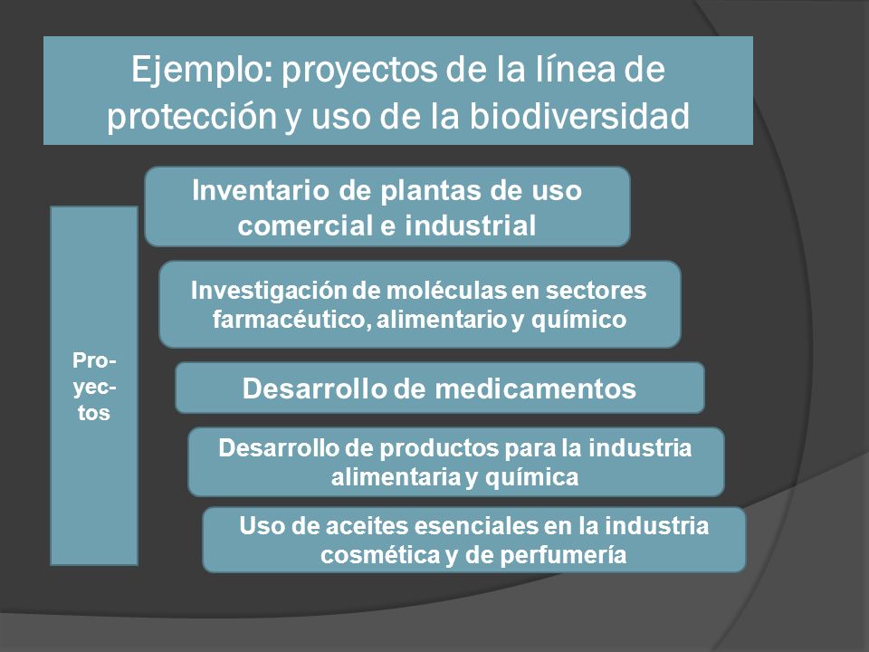Ejemplo: proyectos de la línea de protección y uso de la biodiversidad