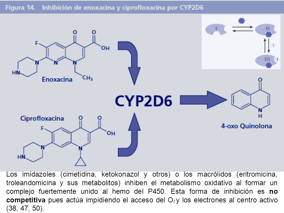 Los imidazoles (cimetidina, ketokonazol y otros) o los macrólidos (eritromicina, troleandomicina y sus metabolitos) inhiben el metabolismo oxidativo al formar un complejo fuertemente unido al hemo del P450.