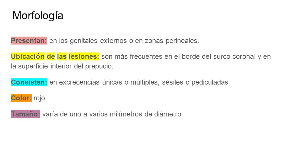 Morfología Presentan: en los genitales externos o en zonas perineales.