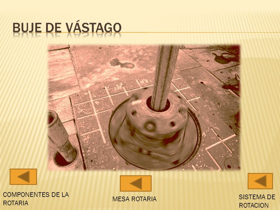 BUJE DE VÁSTAGO COMPONENTES DE LA ROTARIA SISTEMA DE ROTACION