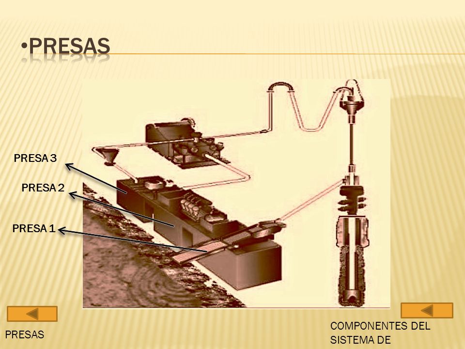 Presas PRESA 3 PRESA 2 PRESA 1 COMPONENTES DEL SISTEMA DE CIRCULACION