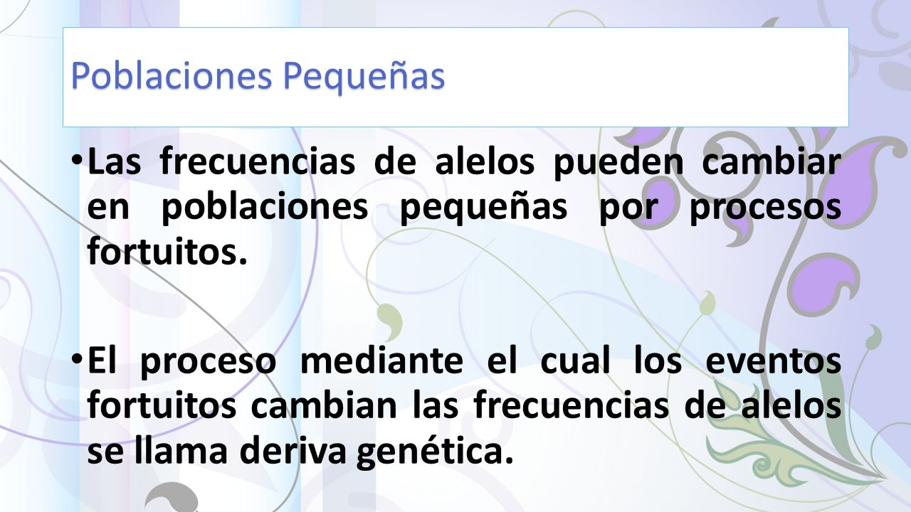 Poblaciones Pequeñas Las frecuencias de alelos pueden cambiar en poblaciones pequeñas por procesos fortuitos.