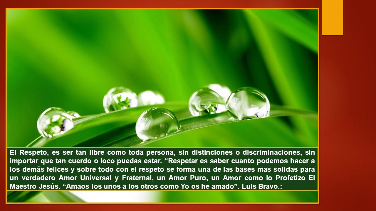 El Respeto, es ser tan libre como toda persona, sin distinciones o discriminaciones, sin importar que tan cuerdo o loco puedas estar.