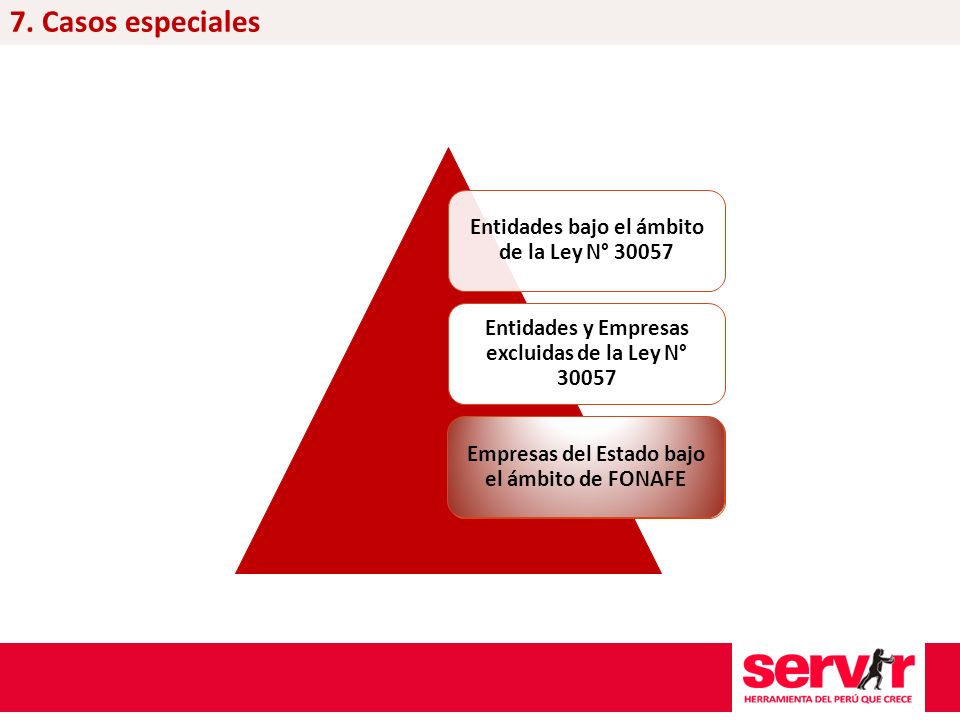 7. Casos especiales Empresas del Estado bajo el ámbito de FONAFE