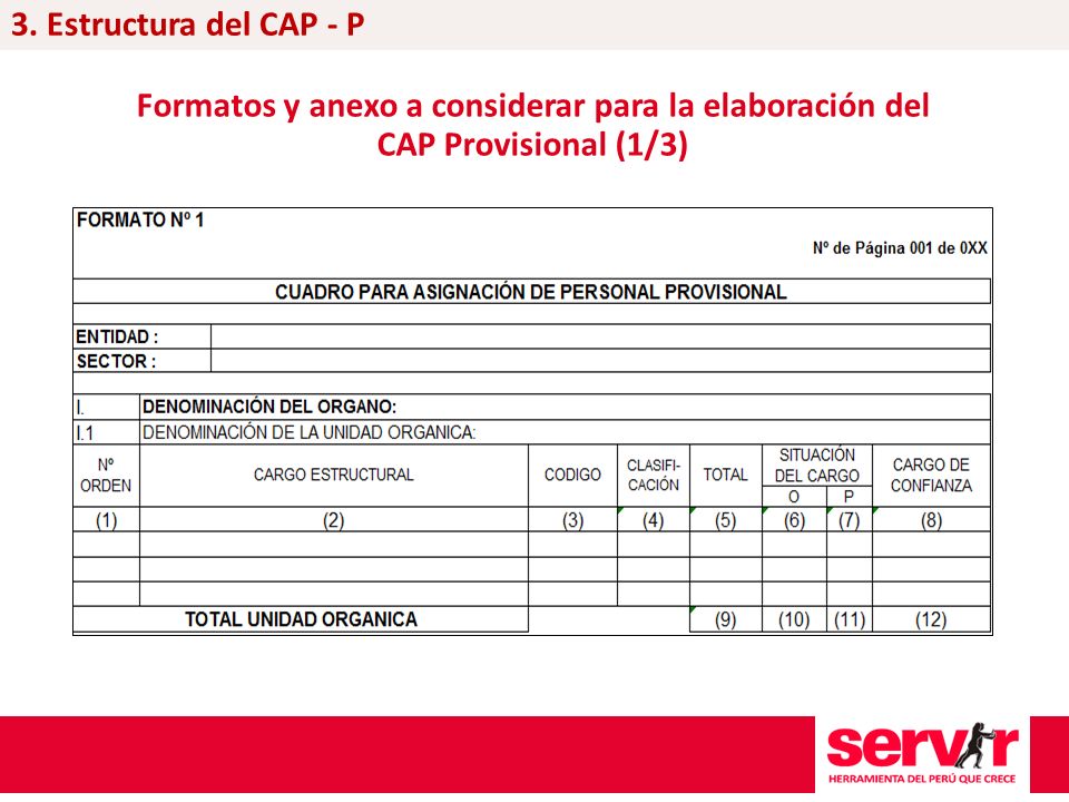 3. Estructura del CAP - P Formatos y anexo a considerar para la elaboración del CAP Provisional (1/3)