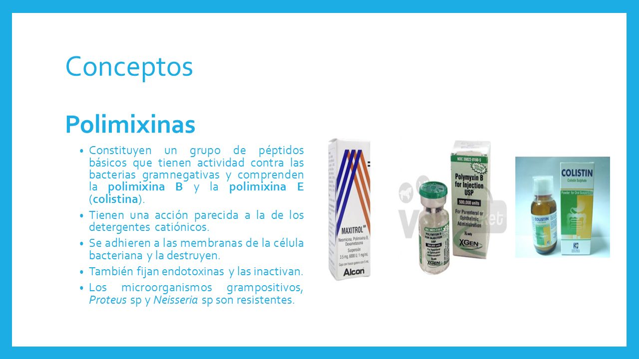 Conceptos Polimixinas