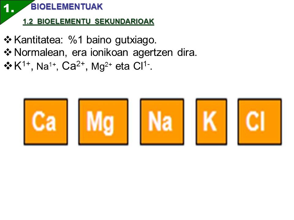 1. K1+, Na1+, Ca2+, Mg2+ eta Cl1-. Kantitatea: %1 baino gutxiago.