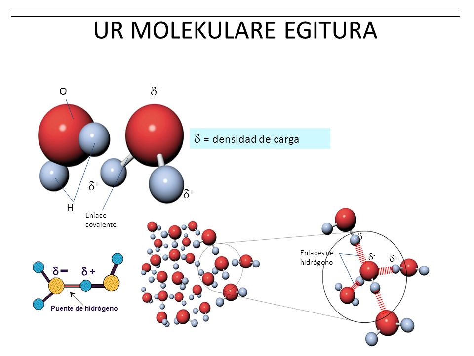 UR MOLEKULARE EGITURA -  = densidad de carga + + O H + -