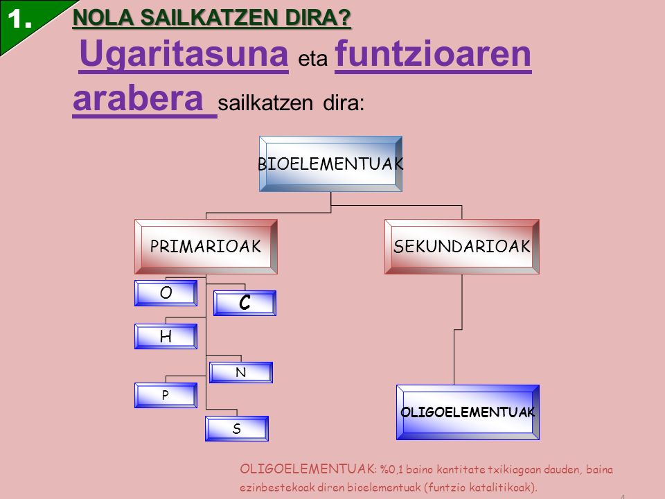 1. NOLA SAILKATZEN DIRA Ugaritasuna eta funtzioaren arabera sailkatzen dira: BIOELEMENTUAK. PRIMARIOAK.