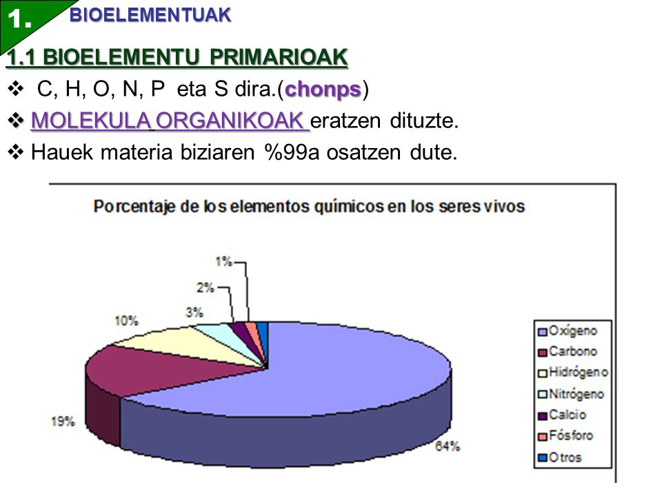 BIOELEMENTU PRIMARIOAK C, H, O, N, P eta S dira.(chonps)