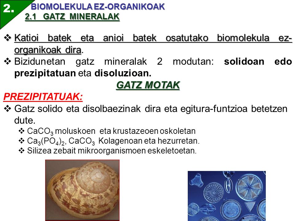 2. BIOMOLEKULA EZ-ORGANIKOAK. 2.1 GATZ MINERALAK. Katioi batek eta anioi batek osatutako biomolekula ez-organikoak dira.