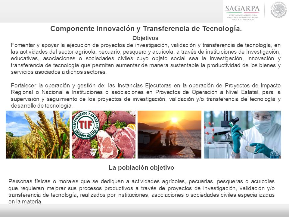 Componente Innovación y Transferencia de Tecnología.