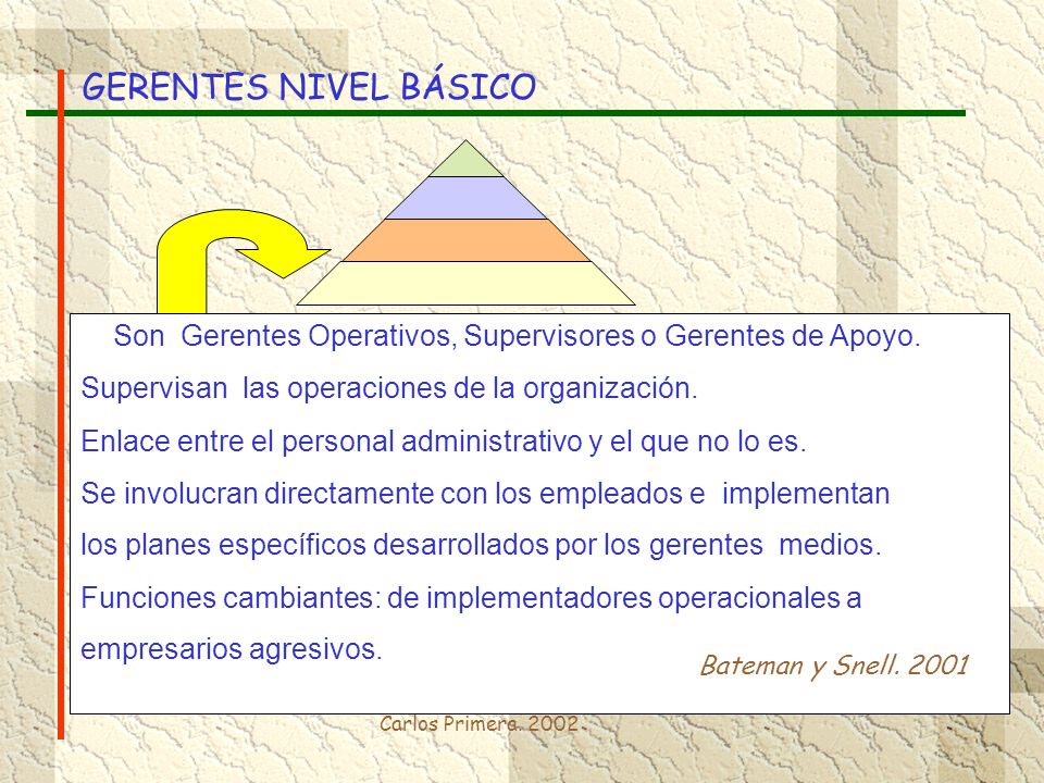 GERENTES NIVEL BÁSICO Son Gerentes Operativos, Supervisores o Gerentes de Apoyo. Supervisan las operaciones de la organización.