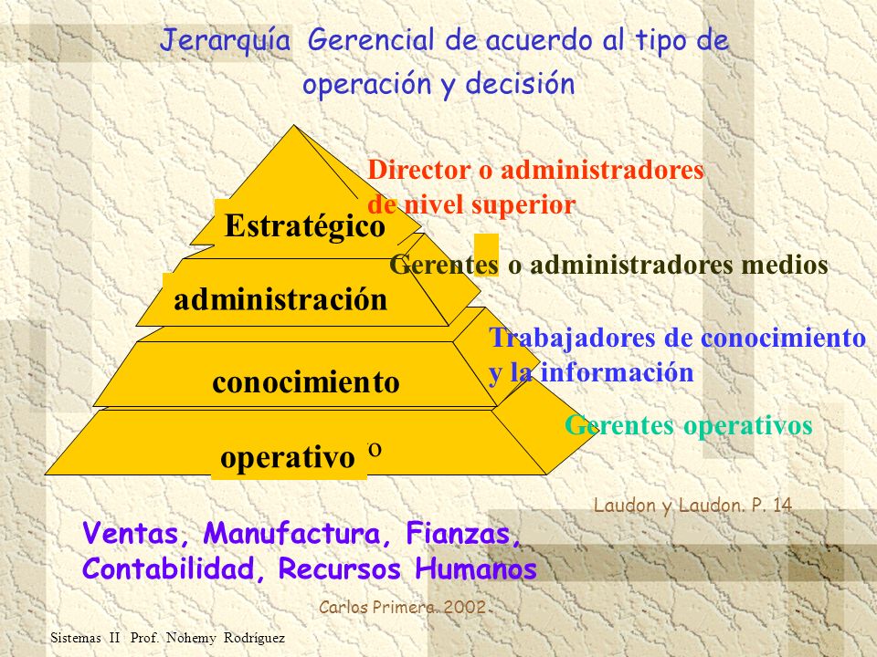 Jerarquía Gerencial de acuerdo al tipo de operación y decisión