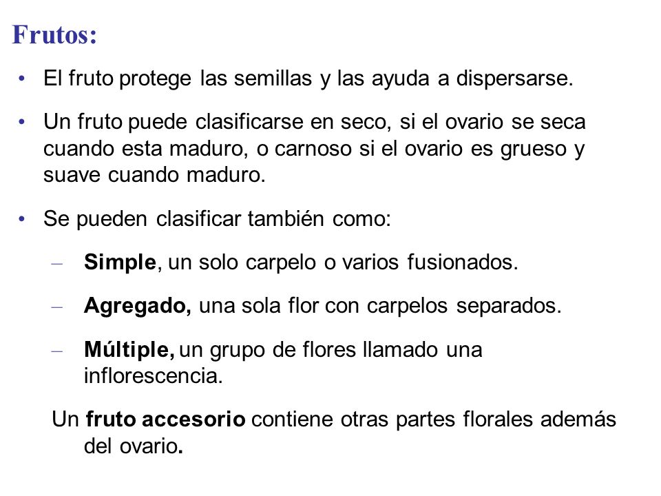 Frutos: El fruto protege las semillas y las ayuda a dispersarse.