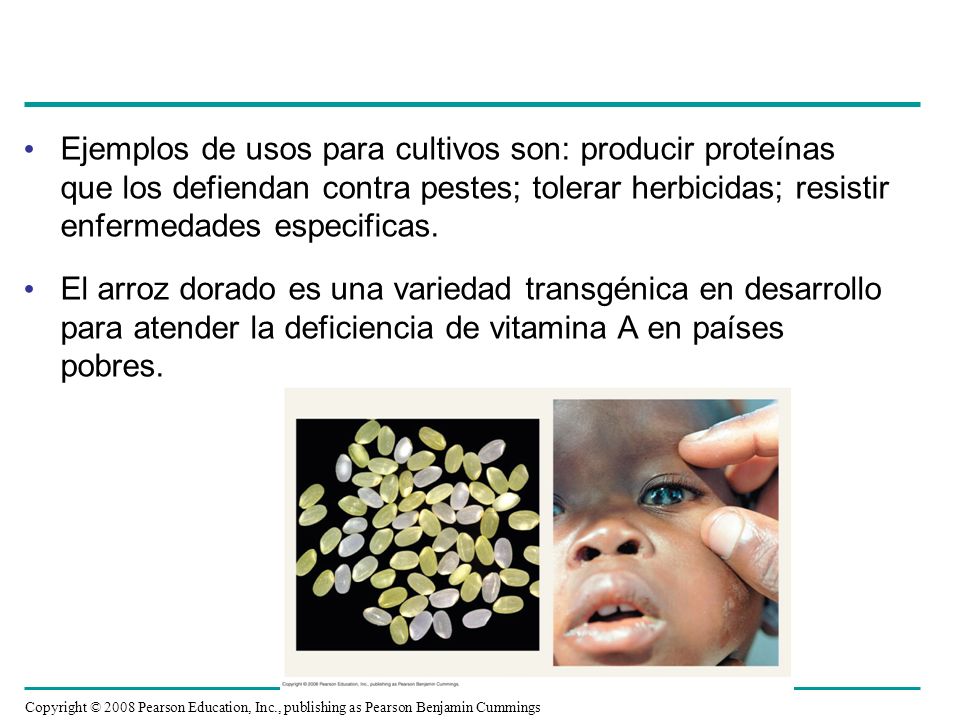Ejemplos de usos para cultivos son: producir proteínas que los defiendan contra pestes; tolerar herbicidas; resistir enfermedades especificas.