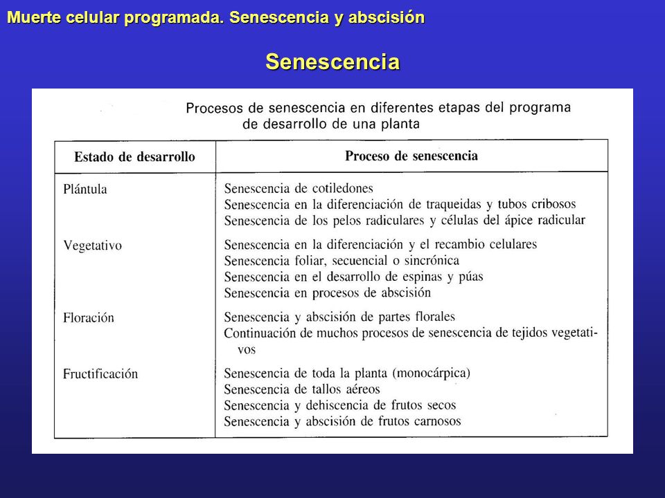 Senescencia