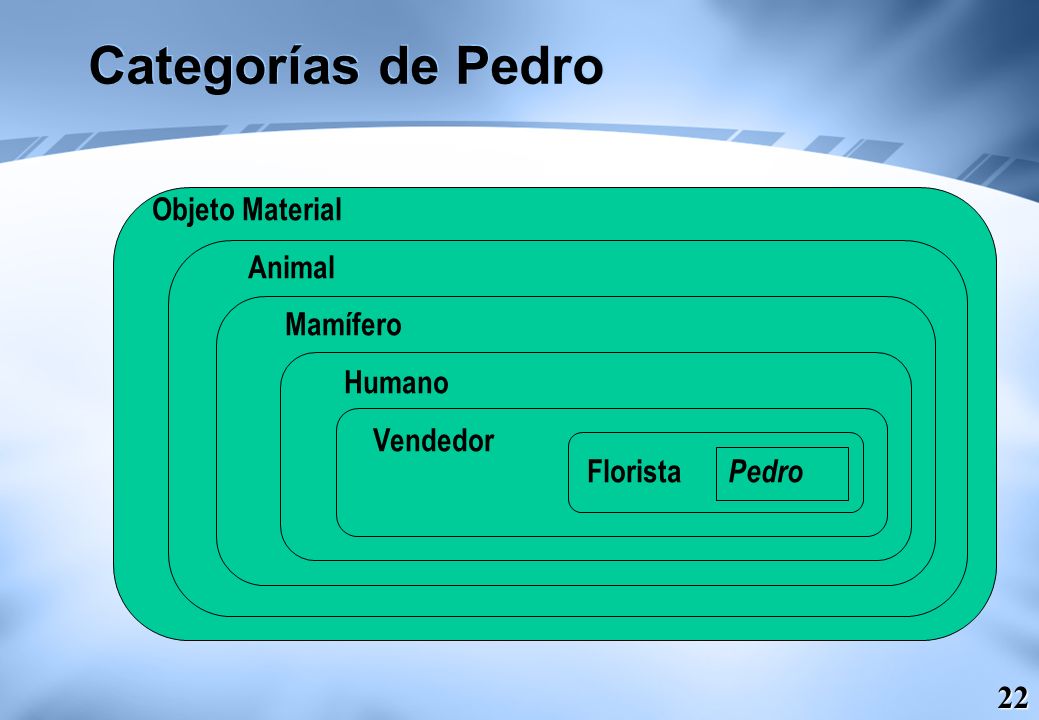 Categorías de Pedro Objeto Material Animal Mamífero Humano Vendedor