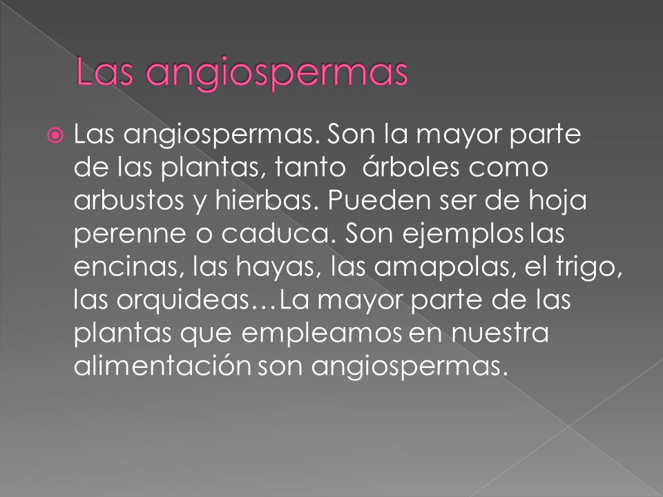Las angiospermas