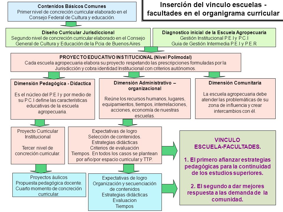 Inserción del vinculo escuelas - facultades en el organigrama curricular