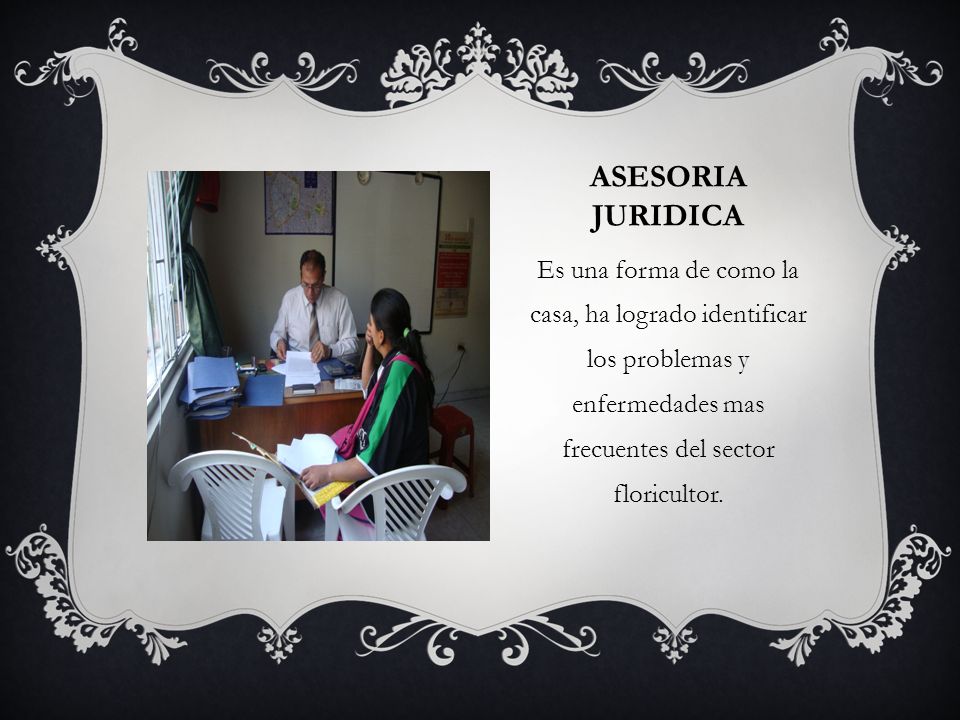ASESORIA JURIDICA Es una forma de como la casa, ha logrado identificar los problemas y enfermedades mas frecuentes del sector floricultor.