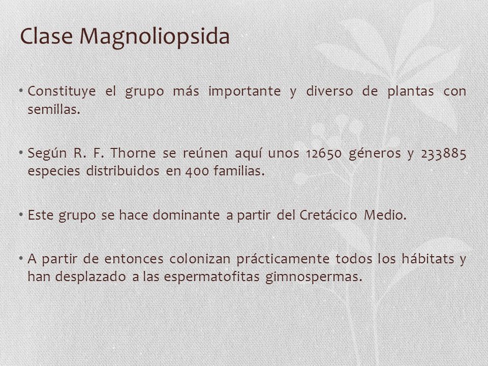 Clase Magnoliopsida Constituye el grupo más importante y diverso de plantas con semillas.