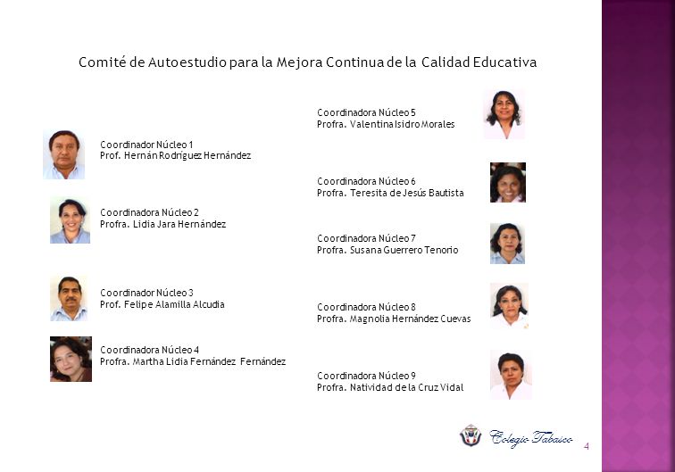 Comité de Autoestudio para la Mejora Continua de la Calidad Educativa
